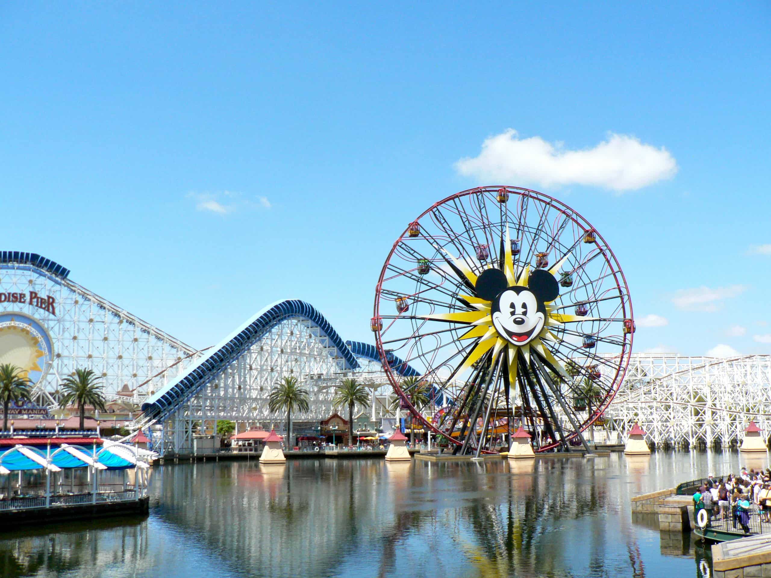 Disney Theme Park