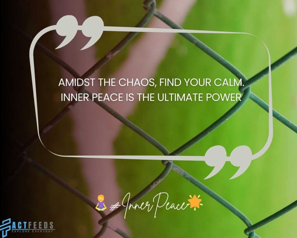10 Best Simple Instagram Motivation Quotes 2024